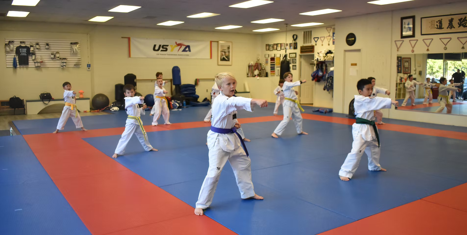 Taekwondo